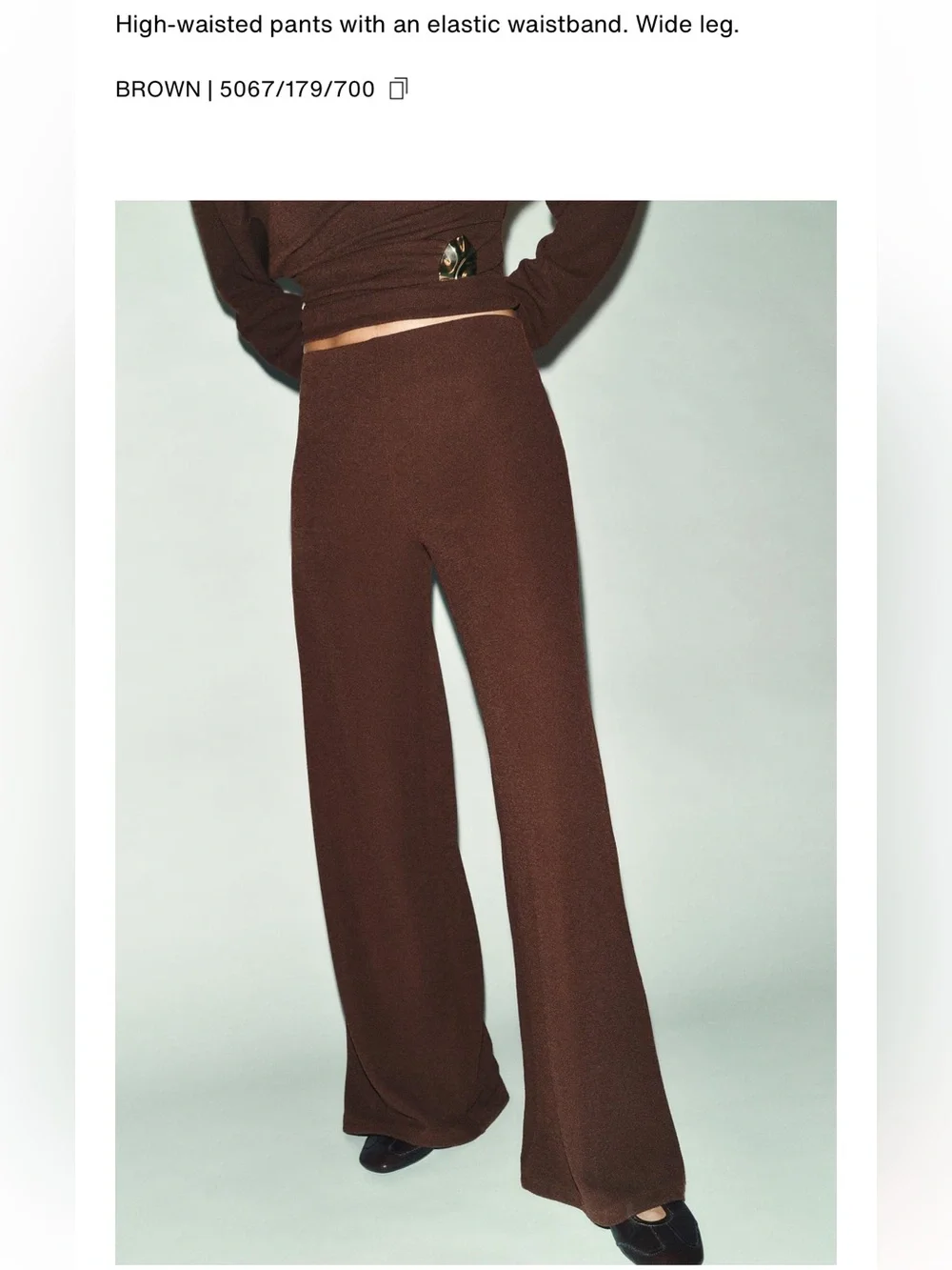 Zara NWT 2 piece SET Brown Wide-Leg Knit Pants  & gold detail long sleeve top
